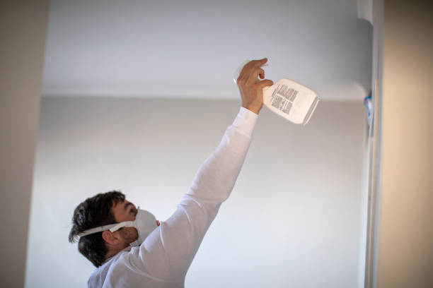 Best Black Mold Removal  in Ingleside, TX