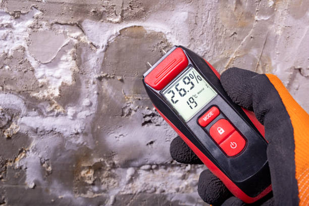Reliable Ingleside, TX Mold Removal Solutions