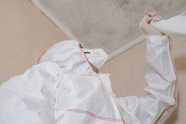 Water Damage Restoration in Ingleside, TX