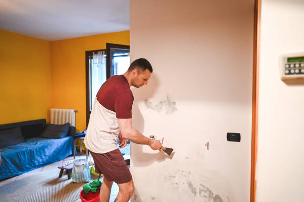 Best Office Mold Removal Services  in Ingleside, TX