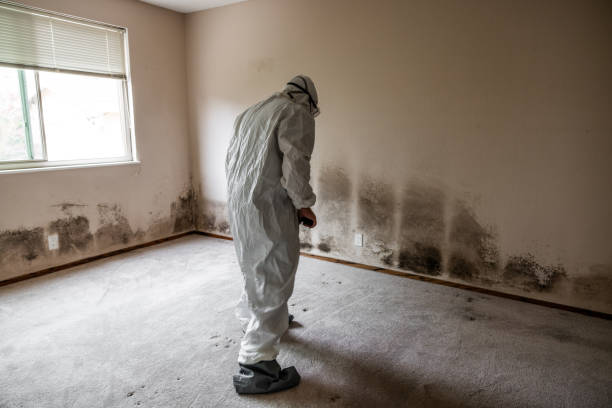 Best Mold Testing  in Ingleside, TX